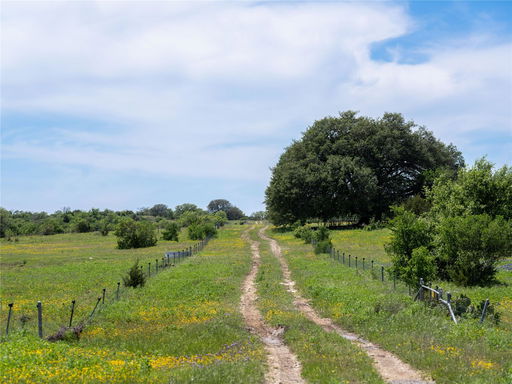 Media Image 2