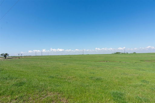 Media Image 3