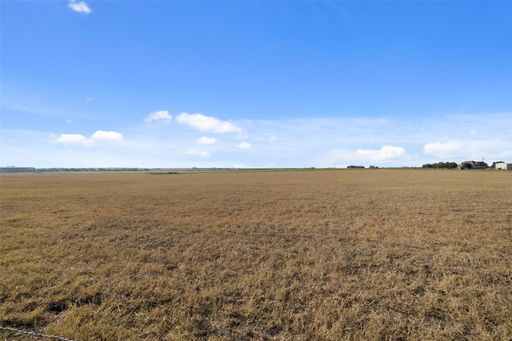 Media Image 3
