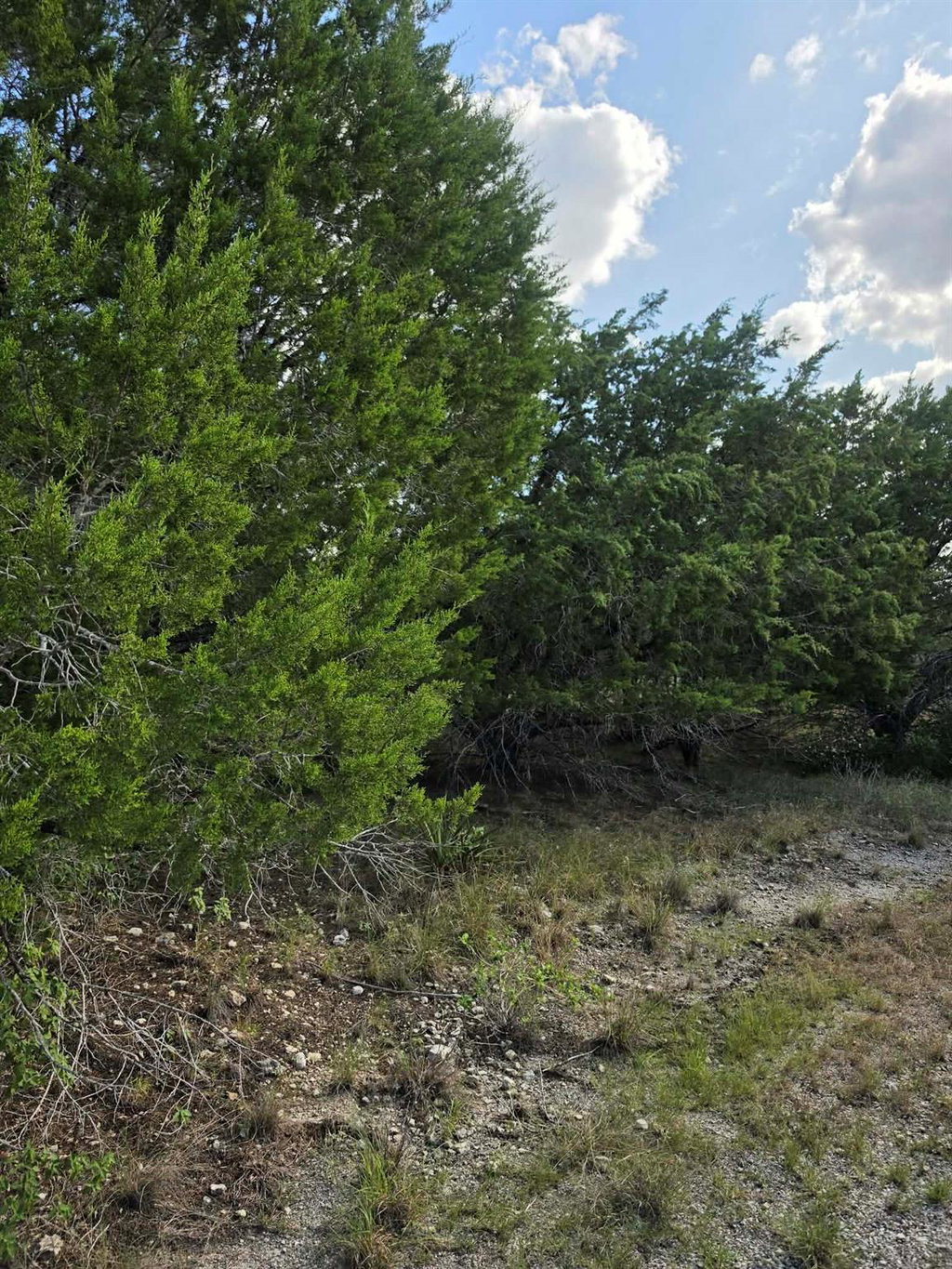 Image Unavailable