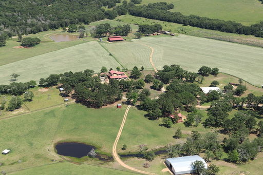 Media Image 2