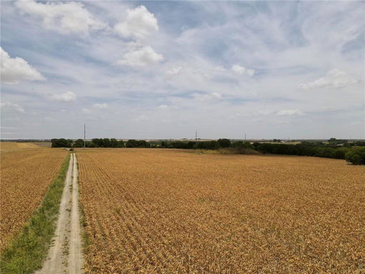 Media Image 2
