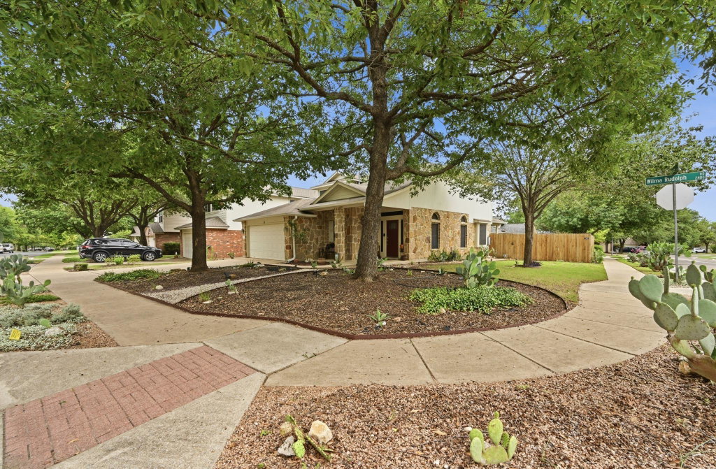 Media Image 1