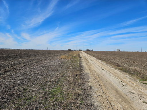 Media Image 3