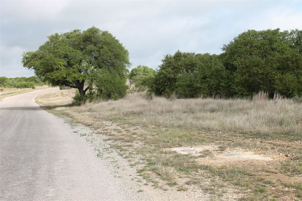 Media Image 1