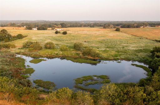 Media Image 2