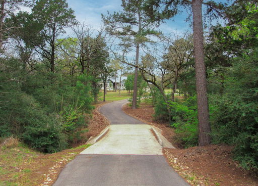Media Image 2