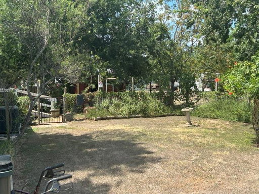 Media Image 3
