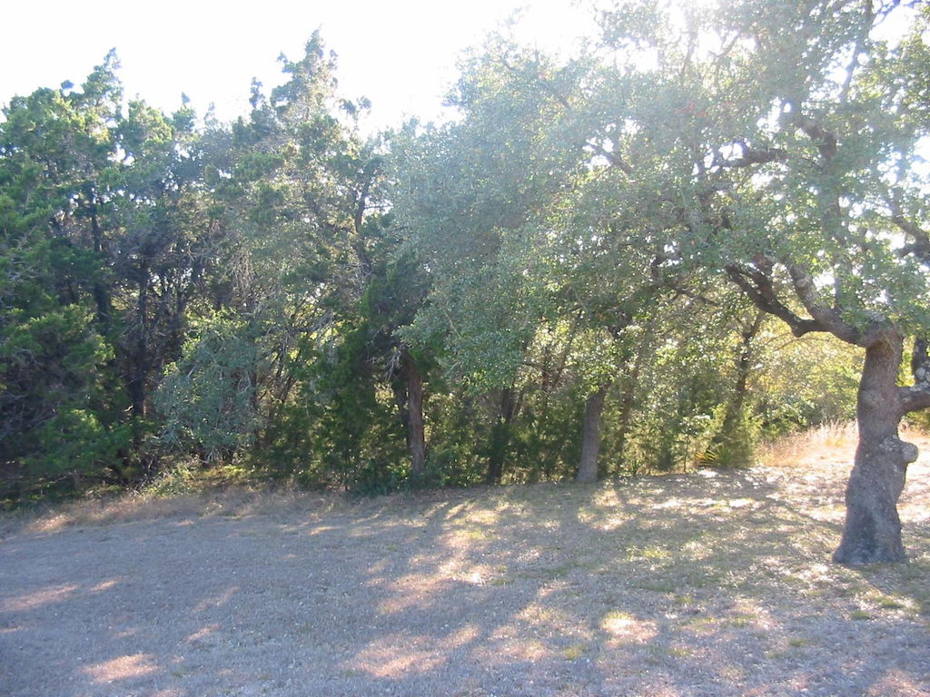 Media Image 1