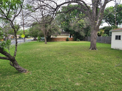 Media Image 3