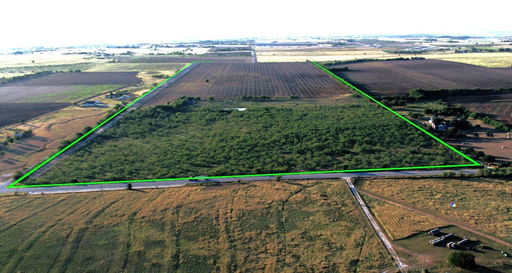 Media Image 2