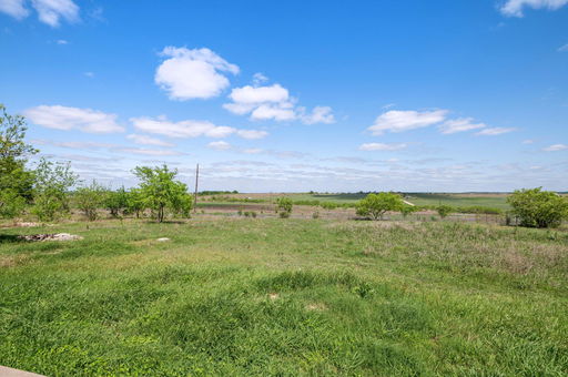 Media Image 3