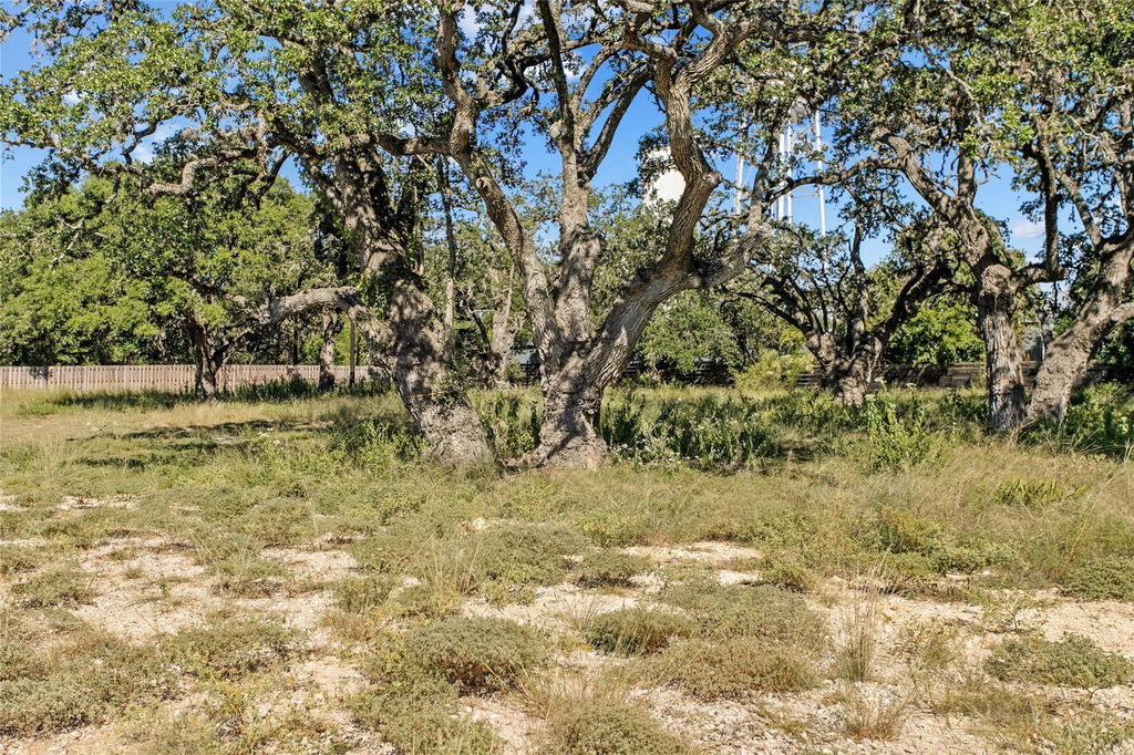 Media Image 1