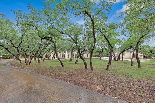Media Image 2