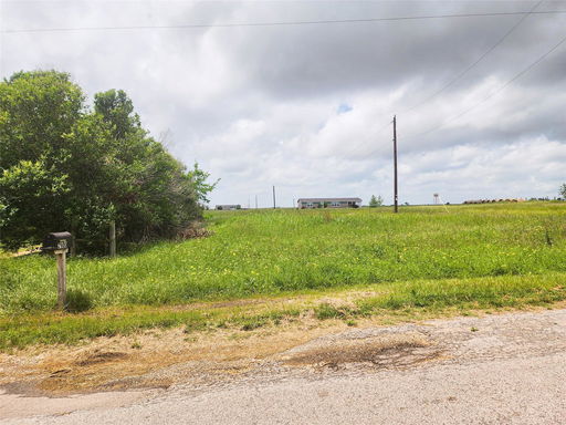 Media Image 3