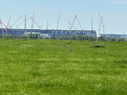 Media Image 2
