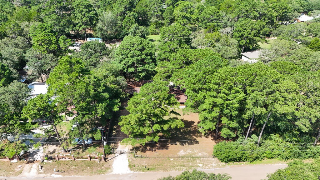 Media Image 1