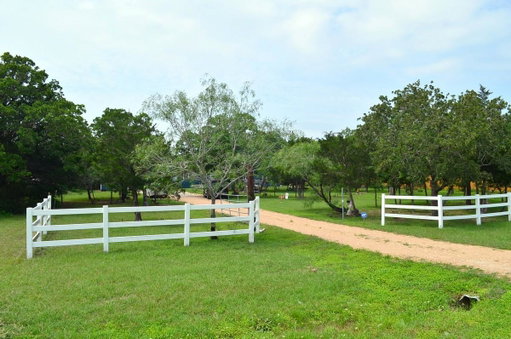Media Image 3