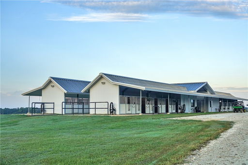 Media Image 2