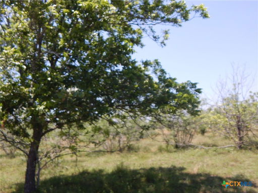 Media Image 3