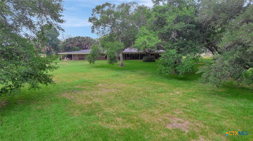 Media Image 2