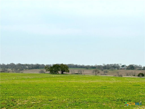 Media Image 2