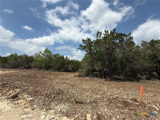 Media Image 3
