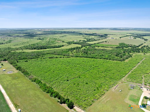 Media Image 3