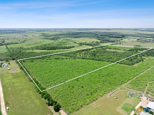 Media Image 2