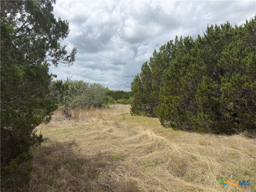 Media Image 2