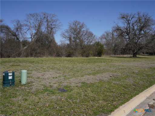 Media Image 2