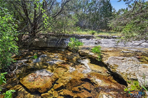 Media Image 2