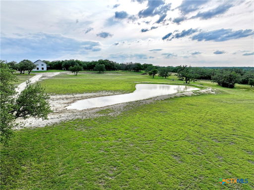Media Image 3