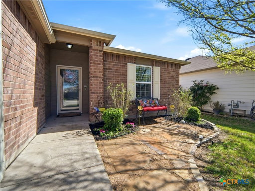Media Image 3