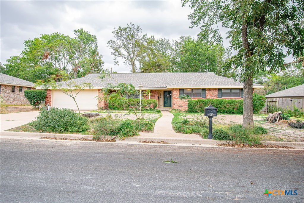 Media Image 1
