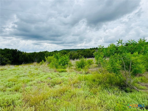 Media Image 3