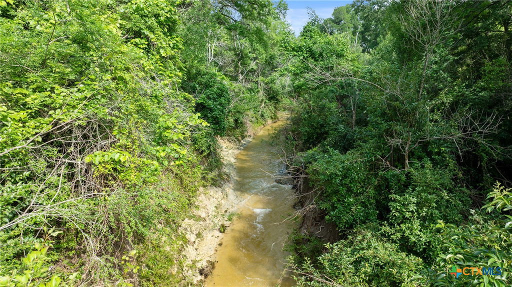 Media Image 1