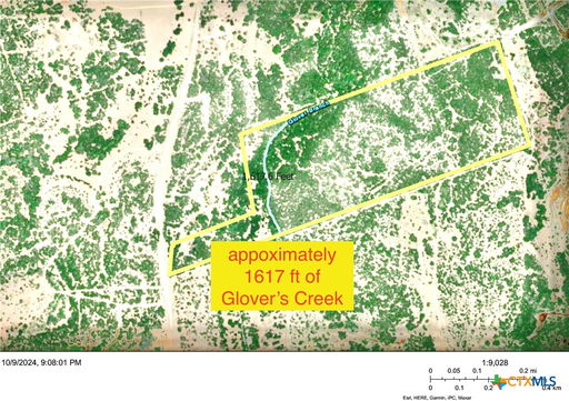 Media Image 2