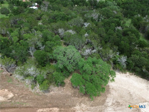Media Image 3