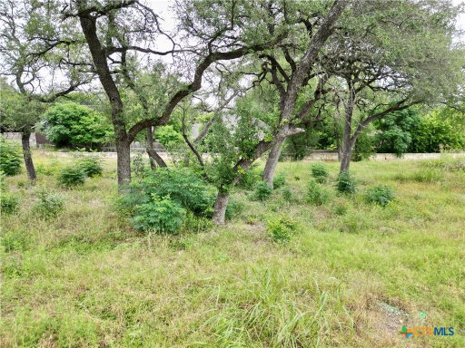 Media Image 3
