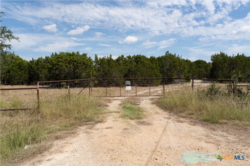 Media Image 2