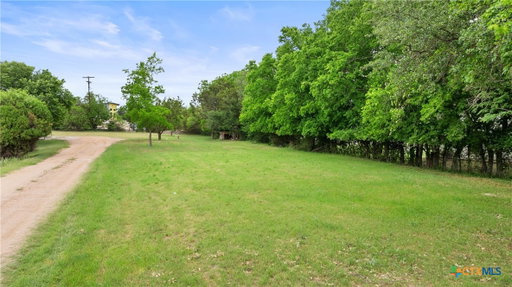 Media Image 2