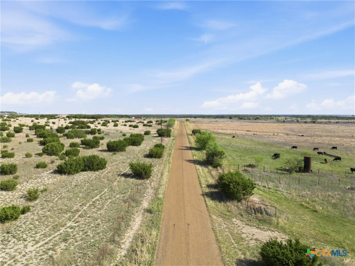 Media Image 3