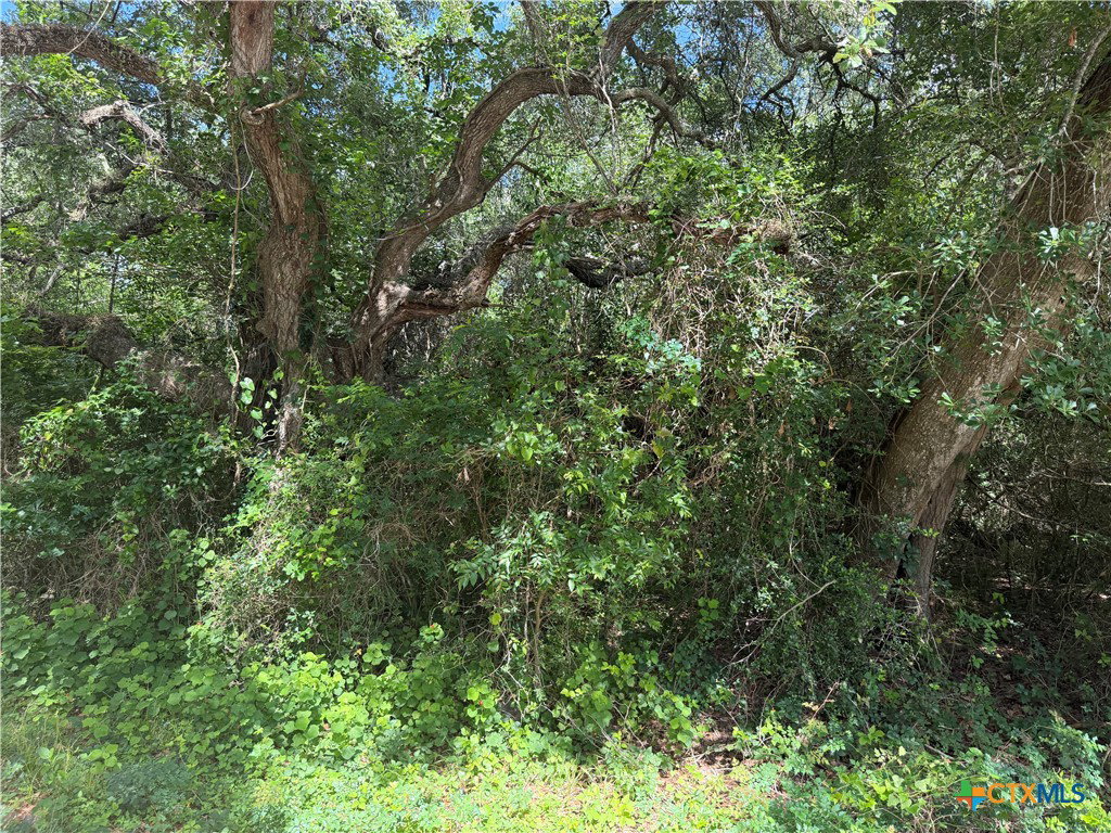 Image Unavailable