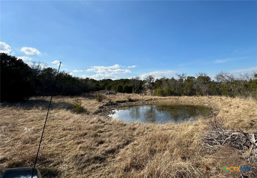 Media Image 2