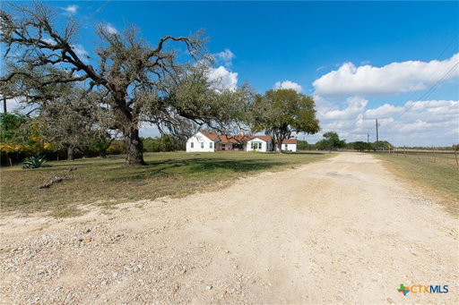 Media Image 3