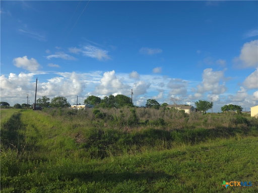 Media Image 3