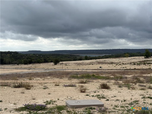 Media Image 3