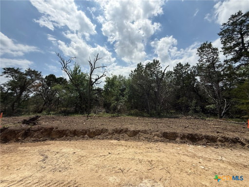 Media Image 3