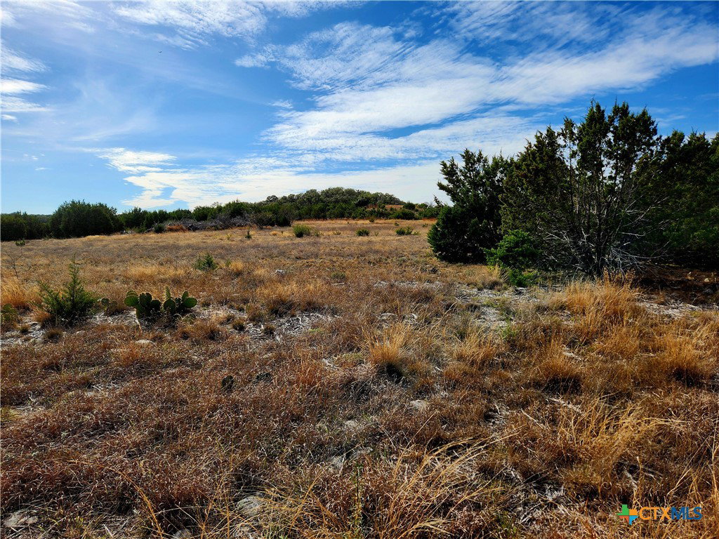Media Image 1